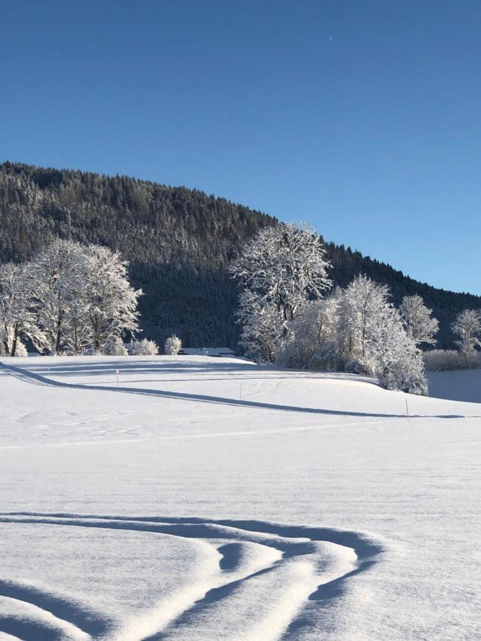 Lindenhof Inzell - Fewo Mit Chiemgaukarte Экстерьер фото